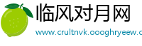 临风对月网